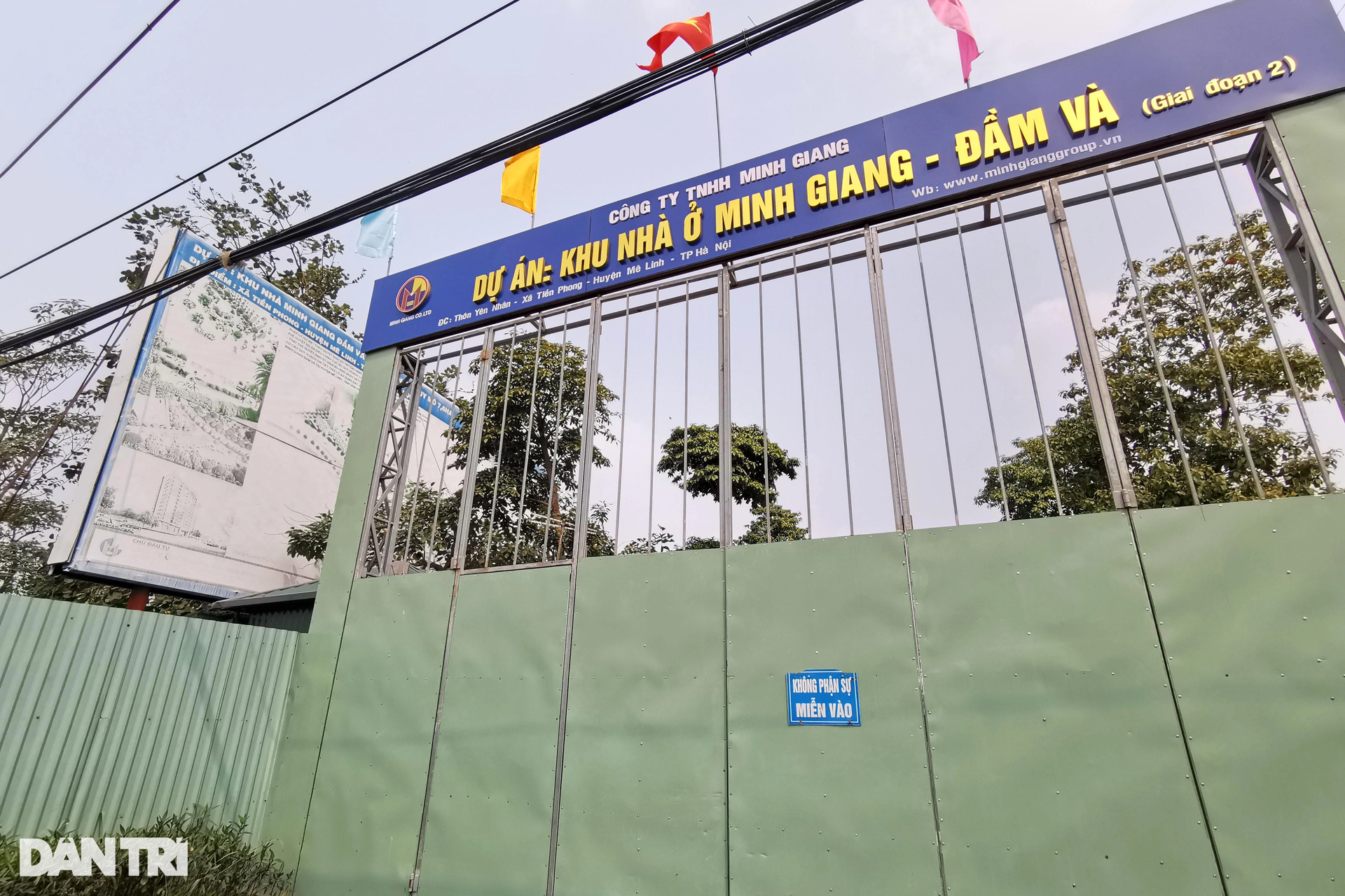 Nhiều khu đô thị đã có cả thập kỷ vẫn để chăn thả bò, trồng cỏ ở Mê Linh - 7 Nhiều khu đô thị đã có cả thập kỷ vẫn để chăn thả bò, trồng cỏ ở Mê Linh - 7