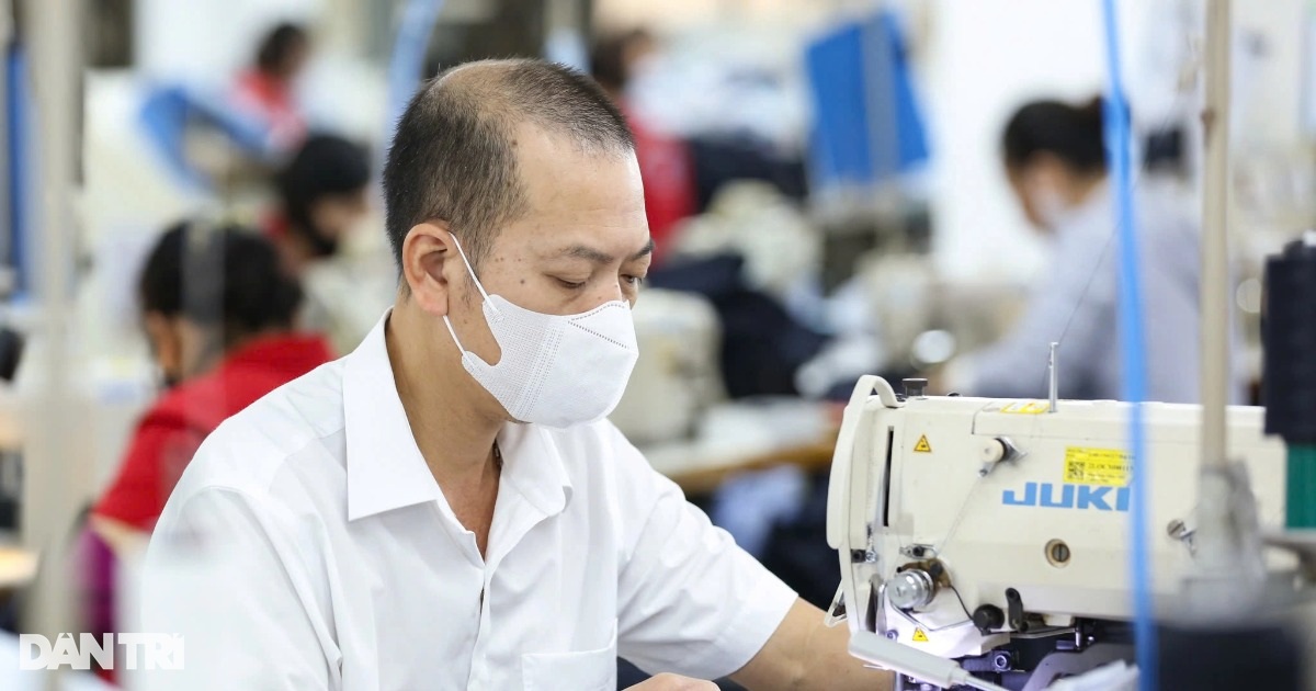 Doanh nghiệp trốn đóng BHXH có thể bị phạt tới 6 tỷ đồng