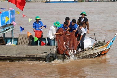 Thả hơn 7,6 tấn cá giống để tái tạo nguồn thủy sản