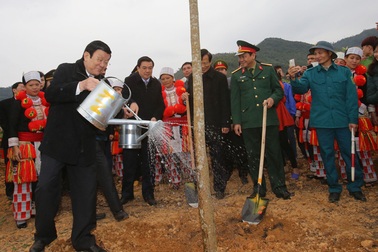 Chủ tịch nước phát động “Tết trồng cây đời đời nhớ ơn Bác Hồ”