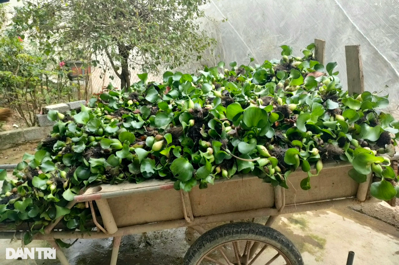 Người phụ nữ khởi nghiệp thành công với loài chim đuôi dài hơn người - 3 Người phụ nữ khởi nghiệp thành công với loài chim đuôi dài hơn người - 3