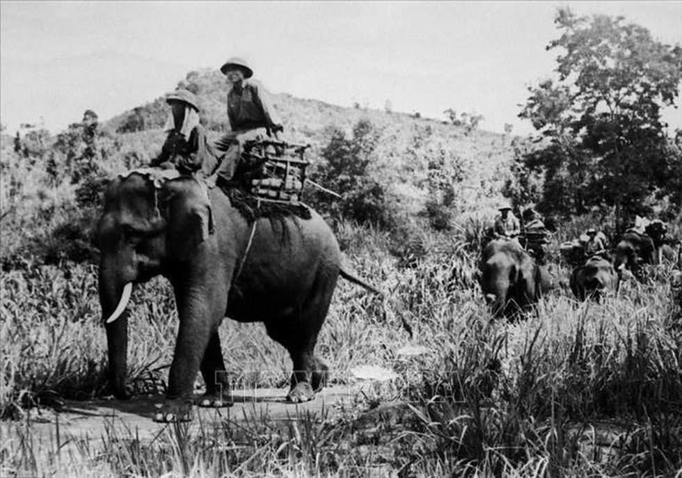 Đòn điểm huyệt trong mùa Xuân đại thắng - 4 Đòn điểm huyệt trong mùa Xuân đại thắng - 4