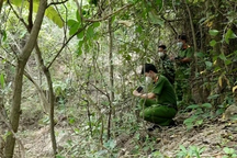 Thiếu nữ bị 3 thanh thiếu niên chuốc rượu, hiếp dâm rồi quay video