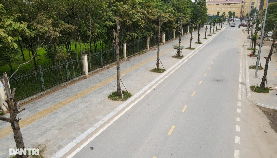 Hàng loạt cây xanh mới trồng chết khô trên khu đất vàng Hà Nội - 2 Hàng loạt cây xanh mới trồng chết khô trên khu đất vàng Hà Nội - 2