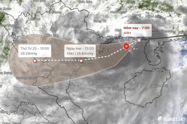 Ứng phó bão số 3, các bệnh viện có phương án sơ tán người bệnh