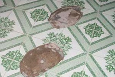 Hai vợ chồng già bị giết bằng 30 nhát dao 