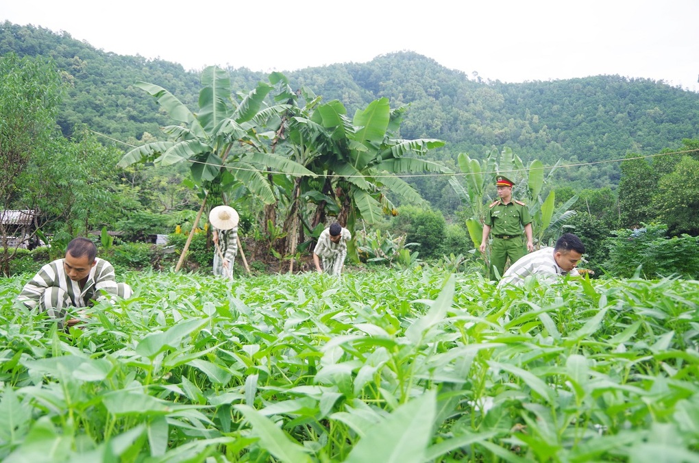 Đề xuất giao người bị phạt cải tạo không giam giữ cho công an xã quản lý - 1 Đề xuất giao người bị phạt cải tạo không giam giữ cho công an xã quản lý - 1