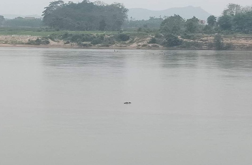 FB_IMG_1613701550954.jpeg Địa điểm thi thể tìm được thi thể anh Thảo