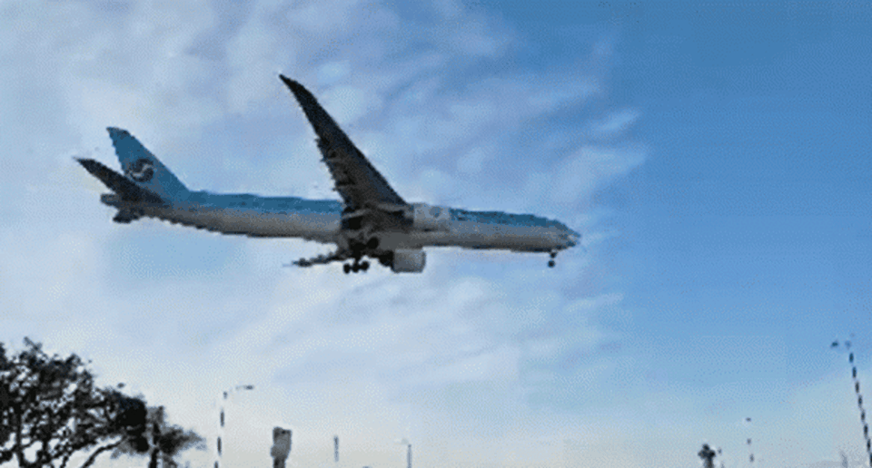 Xót xa nhìn linh cữu cố danh hài đơn độc được chuyển từ máy bay tại Mỹ - 1