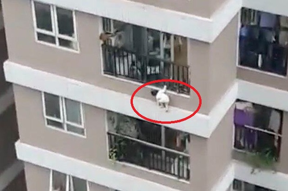 An toàn chung cư: Câu chuyện nói mãi cũng không thừa! - 2 An toàn chung cư: Câu chuyện nói mãi cũng không thừa! - 2
