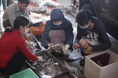 Sở Y tế Quảng Trị: Phenol vẫn là chất độc nguy hiểm!