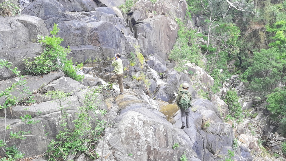 Đến Gia Lai chiêm ngưỡng nàng công chúa ngủ trong rừng - 7 Đến Gia Lai chiêm ngưỡng nàng công chúa ngủ trong rừng - 7