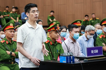 Lùi ngày xét xử phúc thẩm đại án "chuyến bay giải cứu"