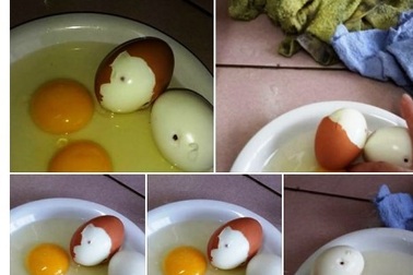 Cục phòng chống HIV/AIDS nói về tin đồn trứng gà nhiễm HIV