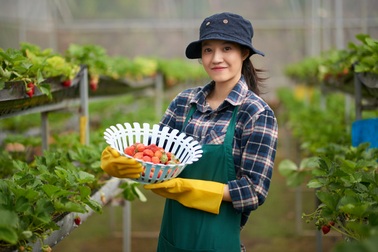 Vay vốn lãi suất chỉ từ 7%/năm tại BIDV dành cho cá nhân