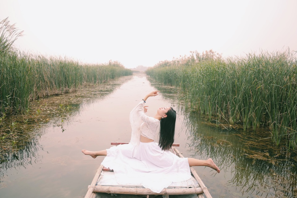 Ngỡ ngàng mùa sen giữa trời đông, lau đẹp như tranh ở Ninh Bình - 4 Ngỡ ngàng mùa sen giữa trời đông, lau đẹp như tranh ở Ninh Bình - 4