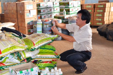 Công ty Thuận Phong bị phạt  trên 509 triệu đồng