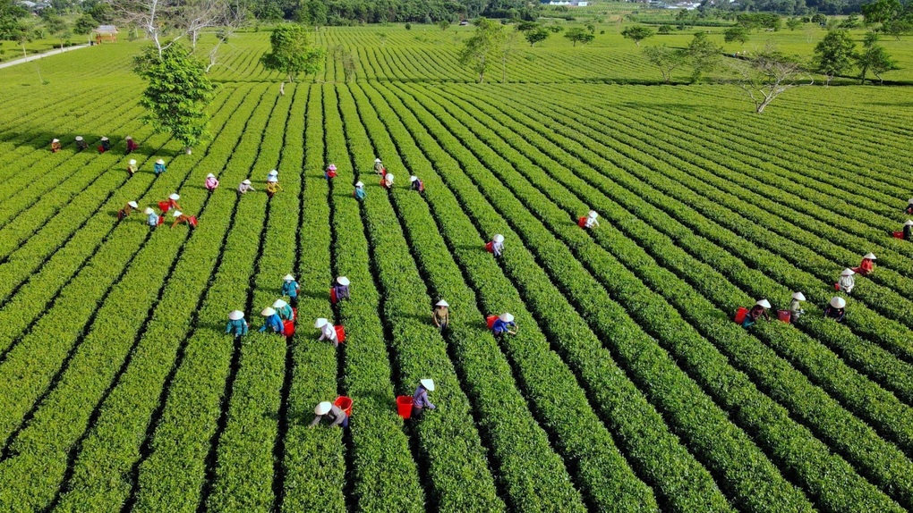 Hà Tĩnh: Huy động mọi nguồn lực giảm nghèo bền vững - 1 Hà Tĩnh: Huy động mọi nguồn lực giảm nghèo bền vững - 1