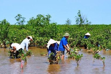 Úc hỗ trợ đánh giá mô hình thích ứng biến đổi khí hậu ở Việt Nam