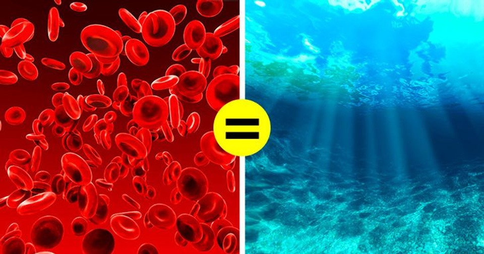 17 interesting science facts that schools don't teach you - 4