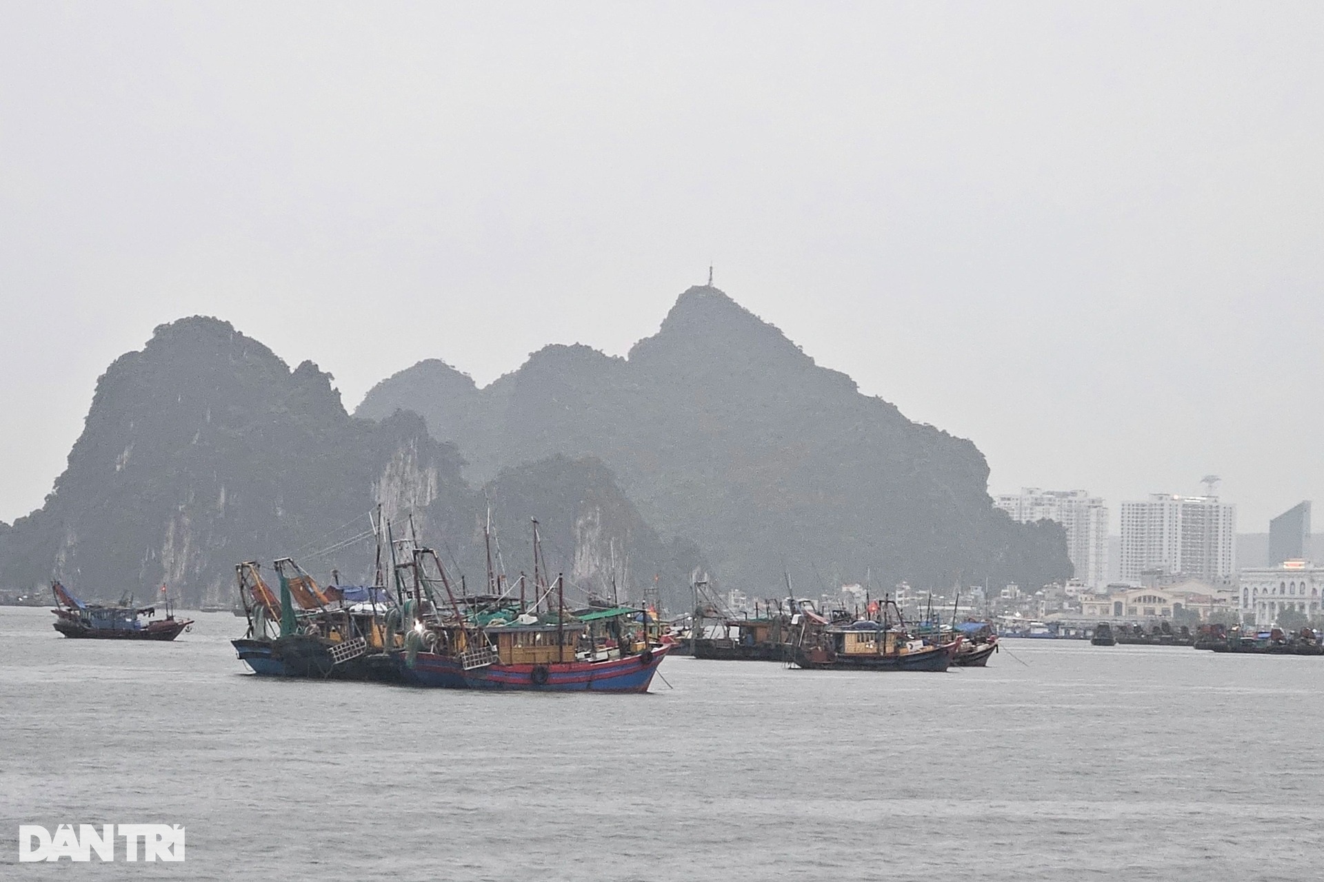 Hàng vạn du khách ở lại trên các đảo Quảng Ninh, Hải Phòng chờ bão tan - 1