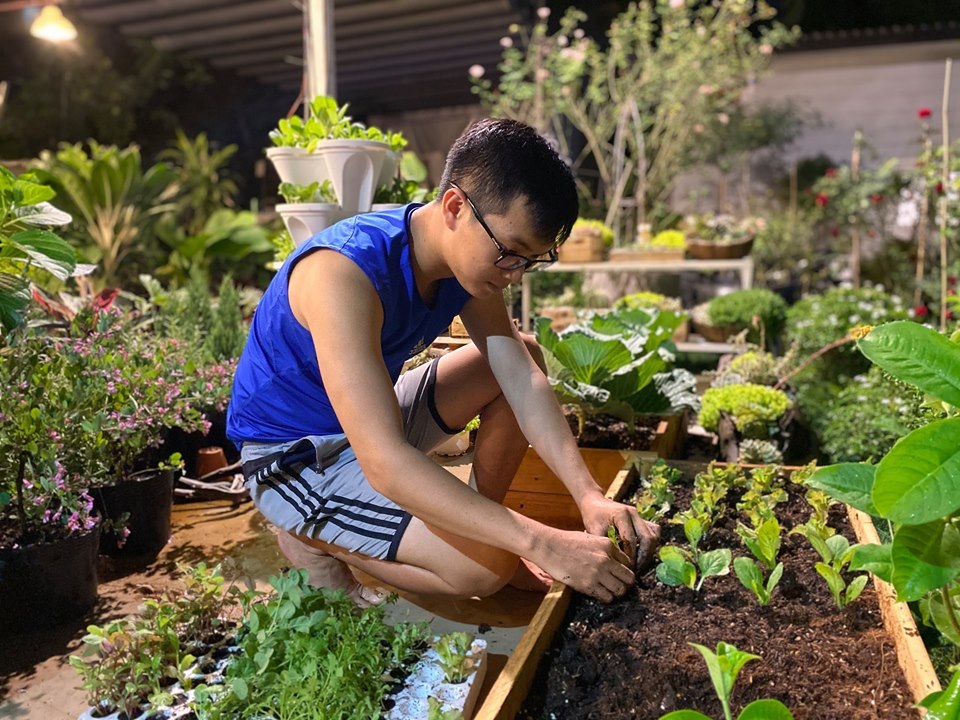 Khu vườn trốn dịch Covid-19, vạn người mê của chàng trai Sài Gòn - 14 Khu vườn trốn dịch Covid-19, vạn người mê của chàng trai Sài Gòn - 14
