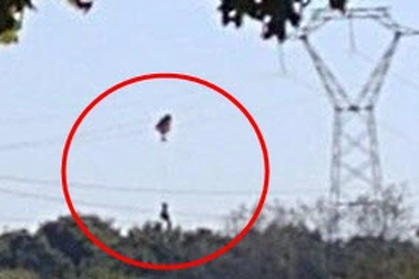 Máy bay F16 của Bỉ rơi, phi công mắc kẹt trên lưới điện cao thế