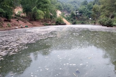 Vi phạm xả thải, Công ty Hapaco Đông Bắc bị phạt gần 1,2 tỷ đồng