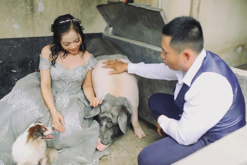 Cặp đôi chụp ảnh cưới độc đáo cùng dàn chó mèo cưng xỉu - 13 Cặp đôi chụp ảnh cưới độc đáo cùng dàn chó mèo cưng xỉu - 13
