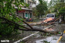 Cây đổ, rác thải bủa vây TP Móng Cái sau khi bão Yagi vào đất liền