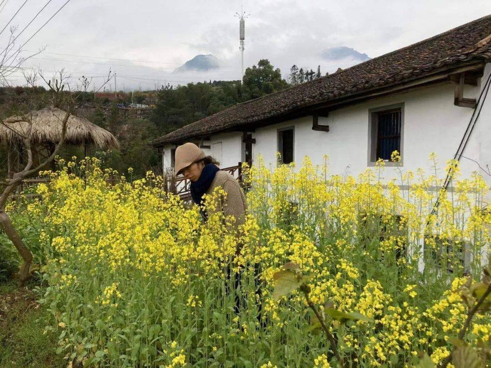 Chán cuộc sống phố thị, cô gái lên núi làm căn nhà nhỏ ngập hoa lá - 12