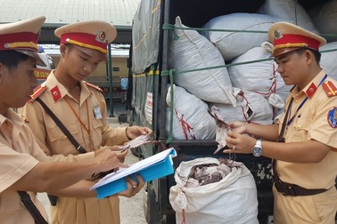 Bắt xe tải chở 2 tấn mực khô nổi rêu, nấm mốc