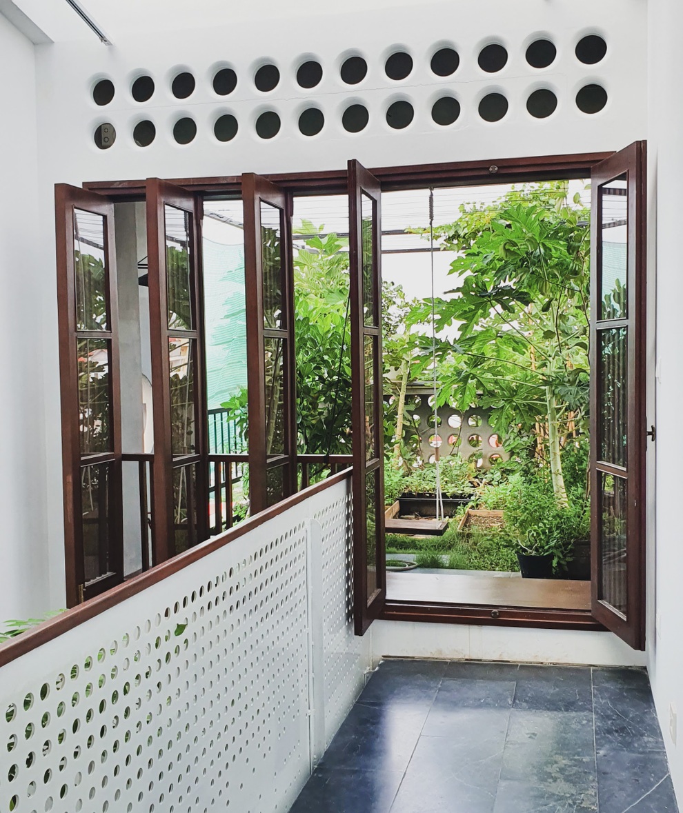 Hai vườn trĩu rau trái, ngát hương hoa hồng của gia đình Hà Nội - 3 Hai vườn trĩu rau trái, ngát hương hoa hồng của gia đình Hà Nội - 3