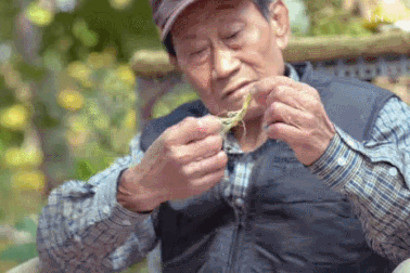 Loại củ càng nhiều "sẹo" càng đắt, giá hàng trăm triệu đồng vẫn hút khách