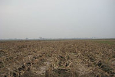 Hỗ trợ nông dân sau trận mưa lũ lịch sử