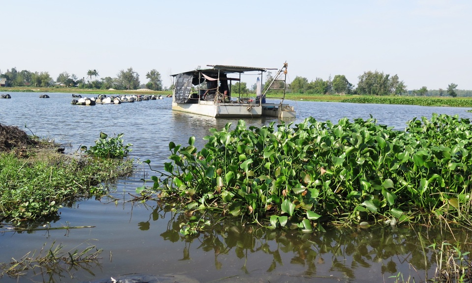 Khai thông “long mạch” sông Cổ Cò: Đánh thức tiềm năng du lịch và bất động sản Quảng Nam-Đà Nẵng Khai thông “long mạch” sông Cổ Cò: Đánh thức tiềm năng du lịch và bất động sản Quảng Nam-Đà Nẵng