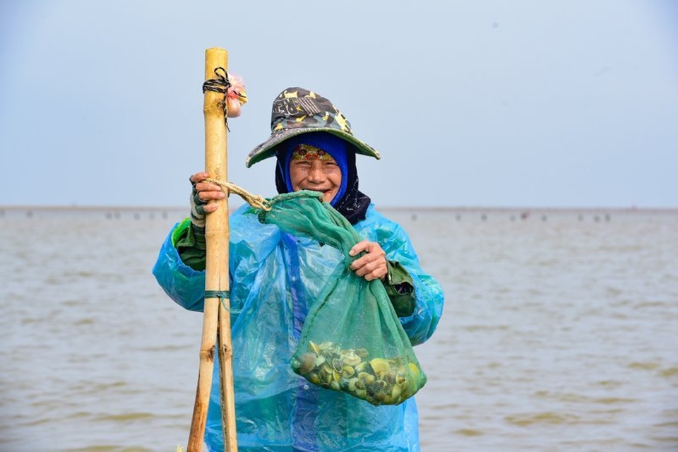Nghề đi giật lùi nơi cửa biển kiếm gần nửa triệu đồng/ngày - 8 Nghề đi giật lùi nơi cửa biển kiếm gần nửa triệu đồng/ngày - 8