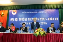 VFF đồng ý cho bầu Thắng rút lui khỏi VPF