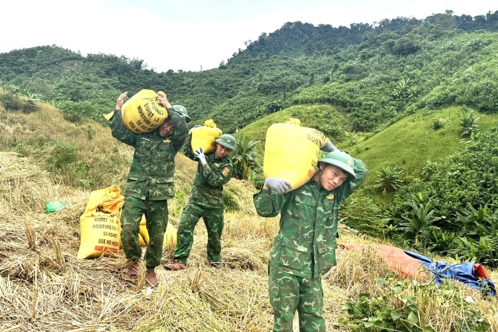 Bộ đội giúp dân vùng biên giới gặt lúa chạy bão Kalmaegi - 2 Bộ đội giúp dân vùng biên giới gặt lúa chạy bão Kalmaegi - 2