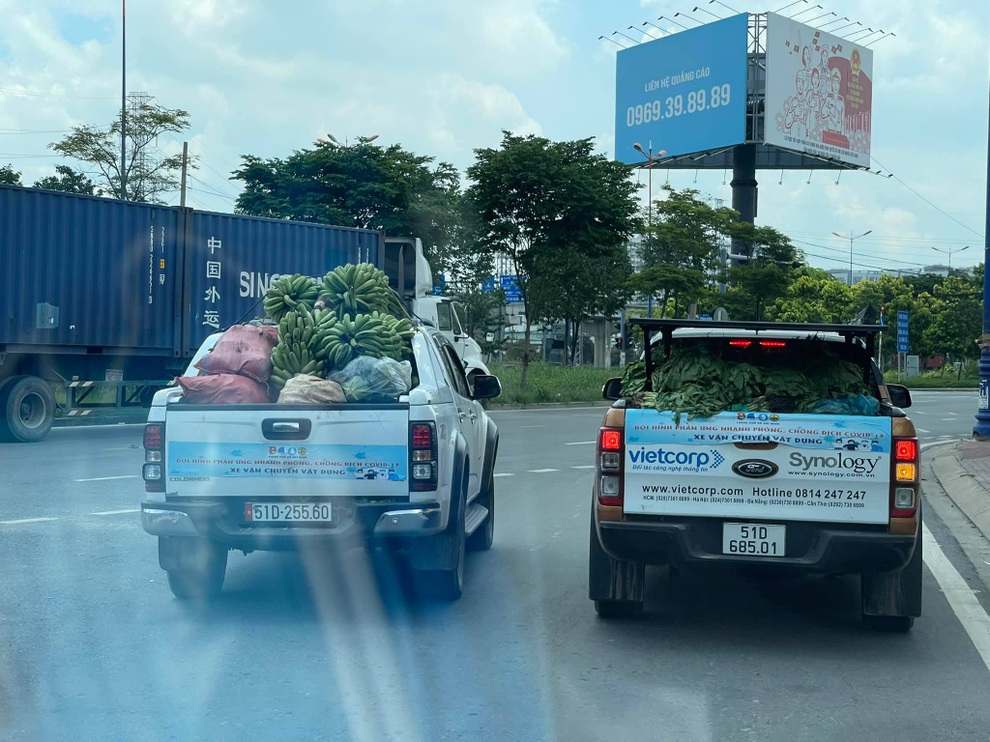 Biệt đội 80 xe bán tải vận chuyển lương thực tiếp sức TPHCM chống dịch - 4 Biệt đội 80 xe bán tải vận chuyển lương thực tiếp sức TPHCM chống dịch - 4