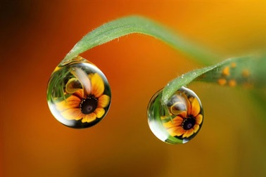 Bảy mức độ hòa hợp của hôn nhân