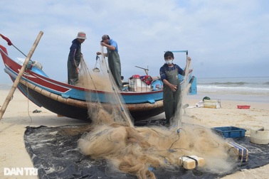 Xăng dầu tăng, giá cá rớt thê thảm, ngư dân chật vật mùa biển khó