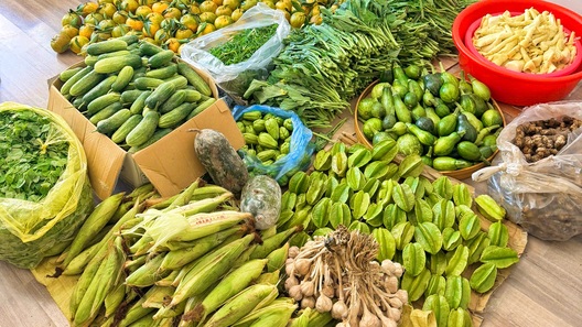 Mẹ trẻ ở Hà Nội bày rau ngay trong căn hộ chung cư để bán