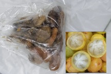 Ăn quả không bỏ hạt, người phụ nữ thủng ruột phải cấp cứu