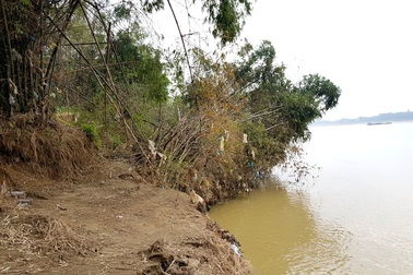 Thấp thỏm lo làng trôi sông