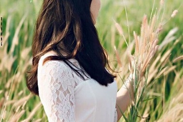 3 điểm chụp ảnh với cỏ lau đẹp mê hồn ở Hà Nội