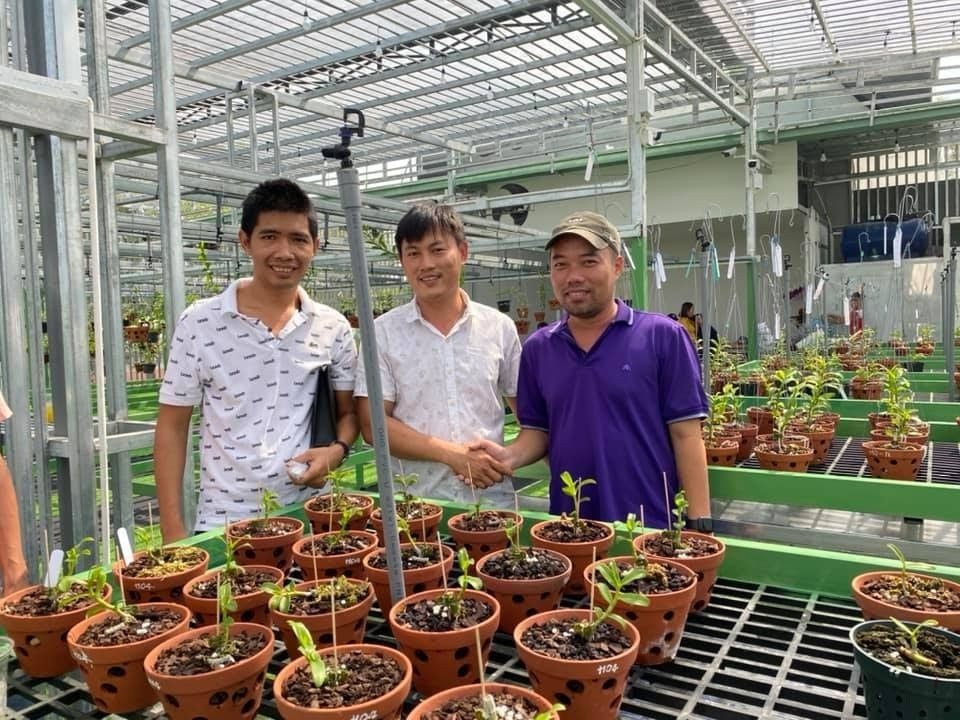Nghệ nhân Lê Cao Thắng chia sẻ kinh nghiệm chăm sóc lan trong mùa mưa - 1 Nghệ nhân Lê Cao Thắng chia sẻ kinh nghiệm chăm sóc lan trong mùa mưa - 1