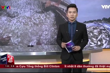 Mùa nước nổi - Mùa cá linh về tại ĐBSCL