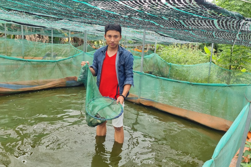 Cử nhân xây dựng khởi nghiệp với con ộp ộp, kiếm 200 triệu đồng/năm - 4 Cử nhân xây dựng khởi nghiệp với con ộp ộp, kiếm 200 triệu đồng/năm - 4