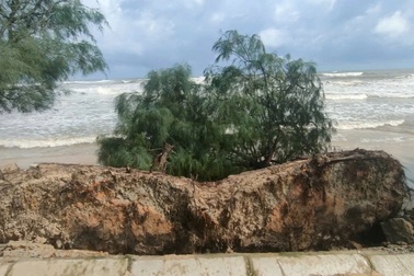 Bờ biển bị sạt lở nghiêm trọng, Thừa Thiên Huế ban bố tình huống khẩn cấp